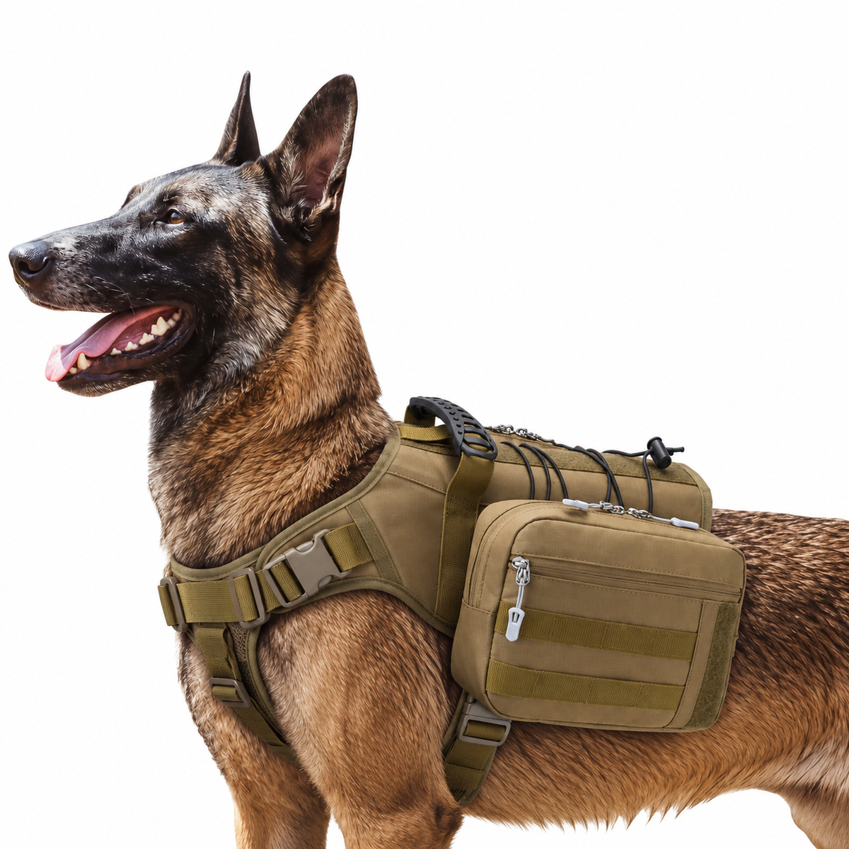 Hundegeschirr mit Packtaschen am Malinois – Rucksack für Hunde – ArmyDropz