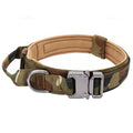Hundehalsband breit Metallverschluss Tarnfarbe Camouflage K9 - ArmyDropz Army Shop Schweiz