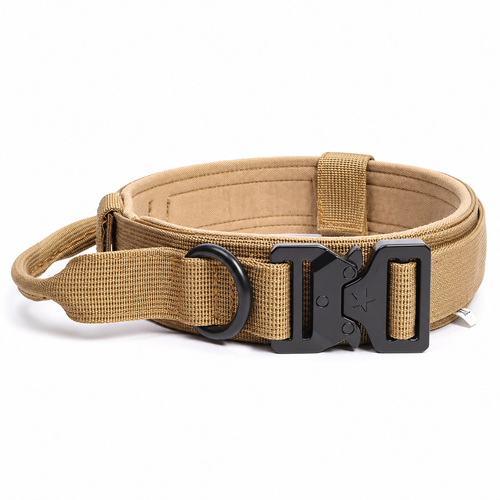 Sandfarbenes Hundehalsband in Coyote Braun mit weicher Polsterung und Metallring – ArmyDropz Schweiz